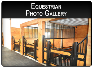 Equestrian Photo Gallery