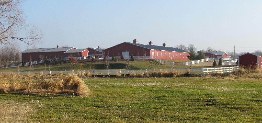 Bel Farm