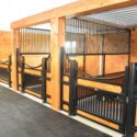 3 horse stalls on interior of barn.