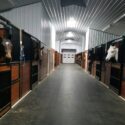 View of barn, down the middle with horse and stalls on right and left.
