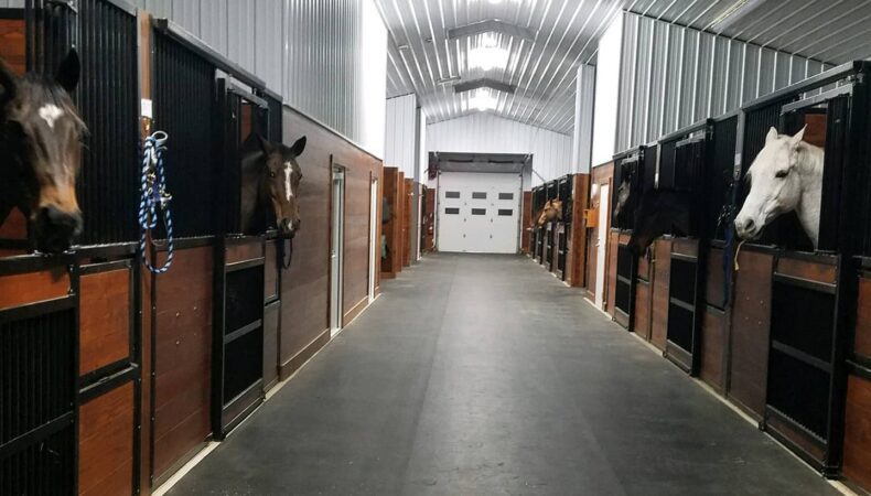 View of barn, down the middle with horse and stalls on right and left.