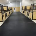 Horse stalls on right and left side of interior.