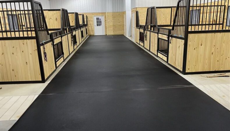 Horse stalls on right and left side of interior.