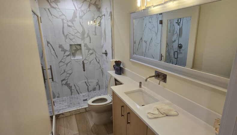 Bathroom with marble shower wall