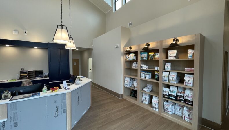 Front desk area with literature on right, desk on left.